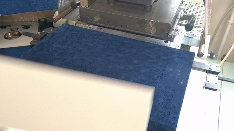 Adding the Sternsteiger Logo